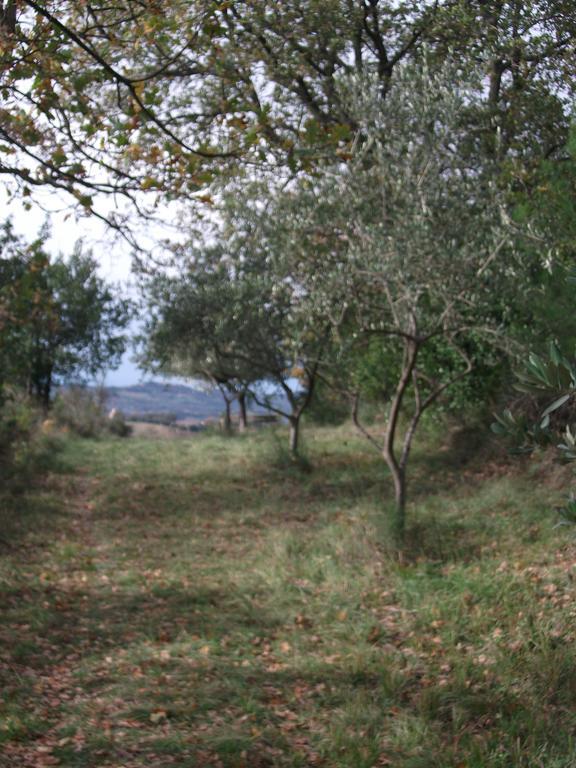 Poggio Del Conero Villa ภายนอก รูปภาพ